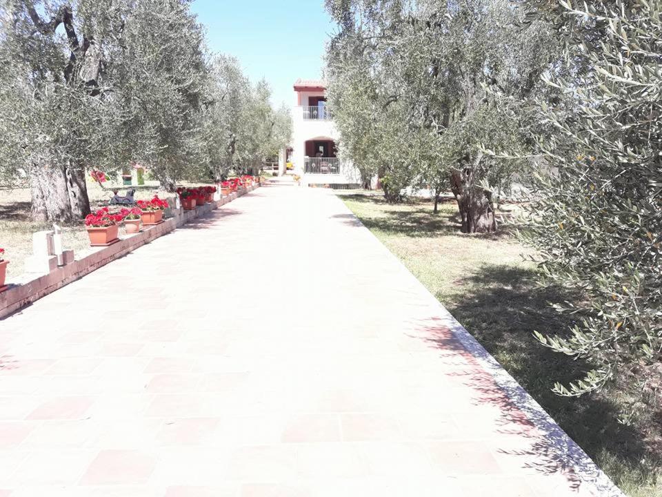 Bed and Breakfast Borgo Cerasa Vieste Zewnętrze zdjęcie
