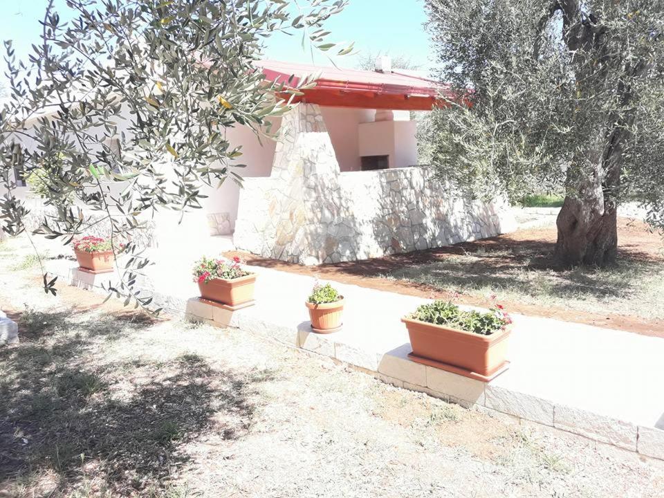 Bed and Breakfast Borgo Cerasa Vieste Zewnętrze zdjęcie